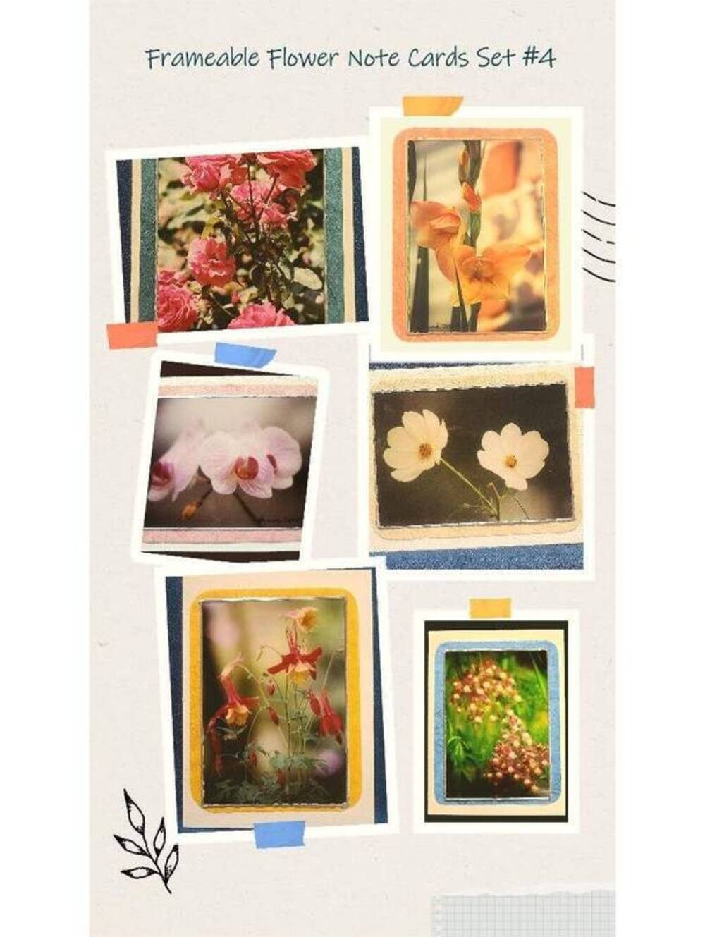 Frameable Flower Photo Note Cards: Set of 6 with Gold Seals